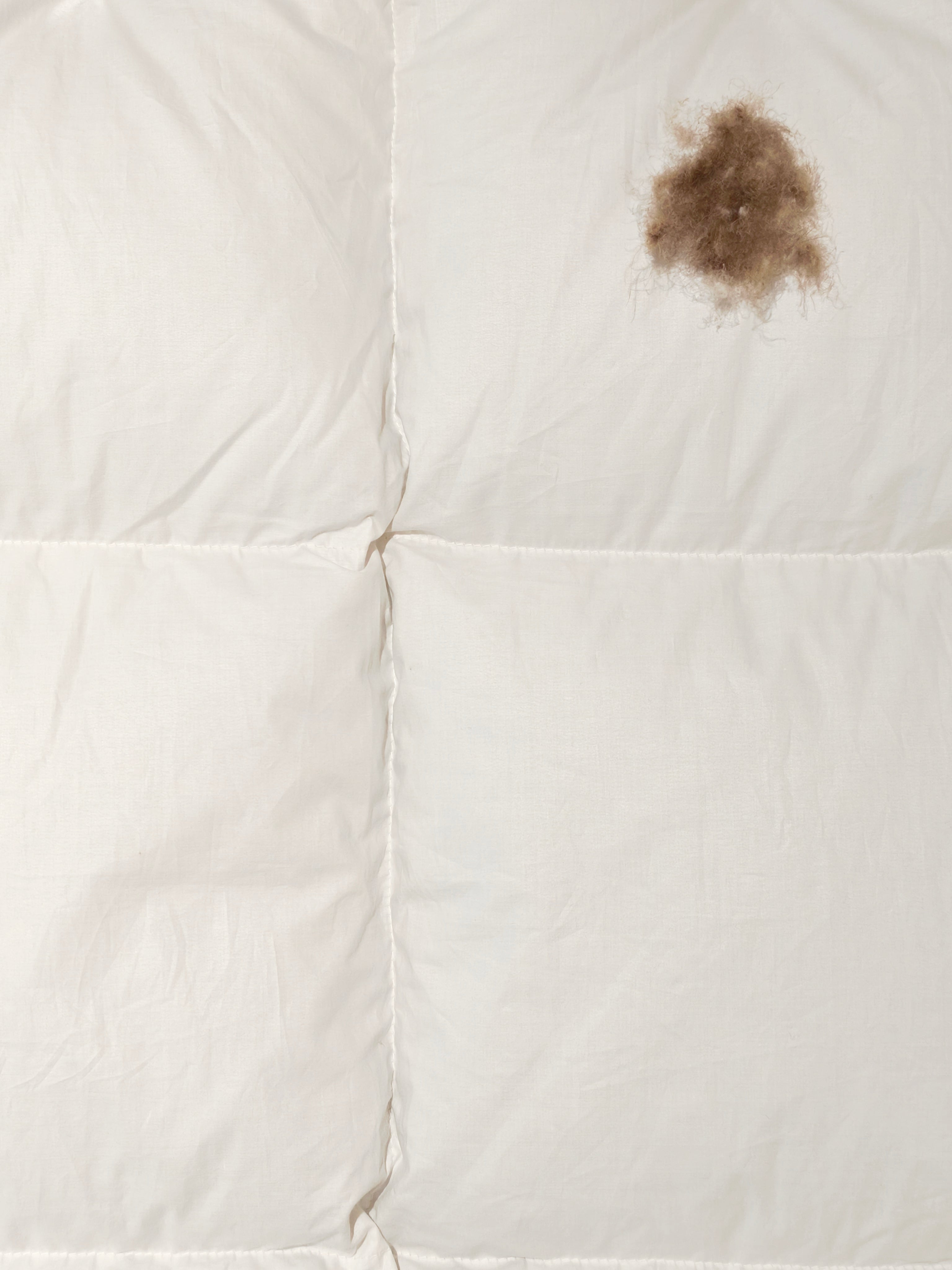 Kassettendecke SUITE von Luiz – Luxus aus isländischer Eiderdaune, WK 4