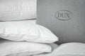 Daunenbettdecke Excellent warm – Luxus, der jede Nacht verwandelt.