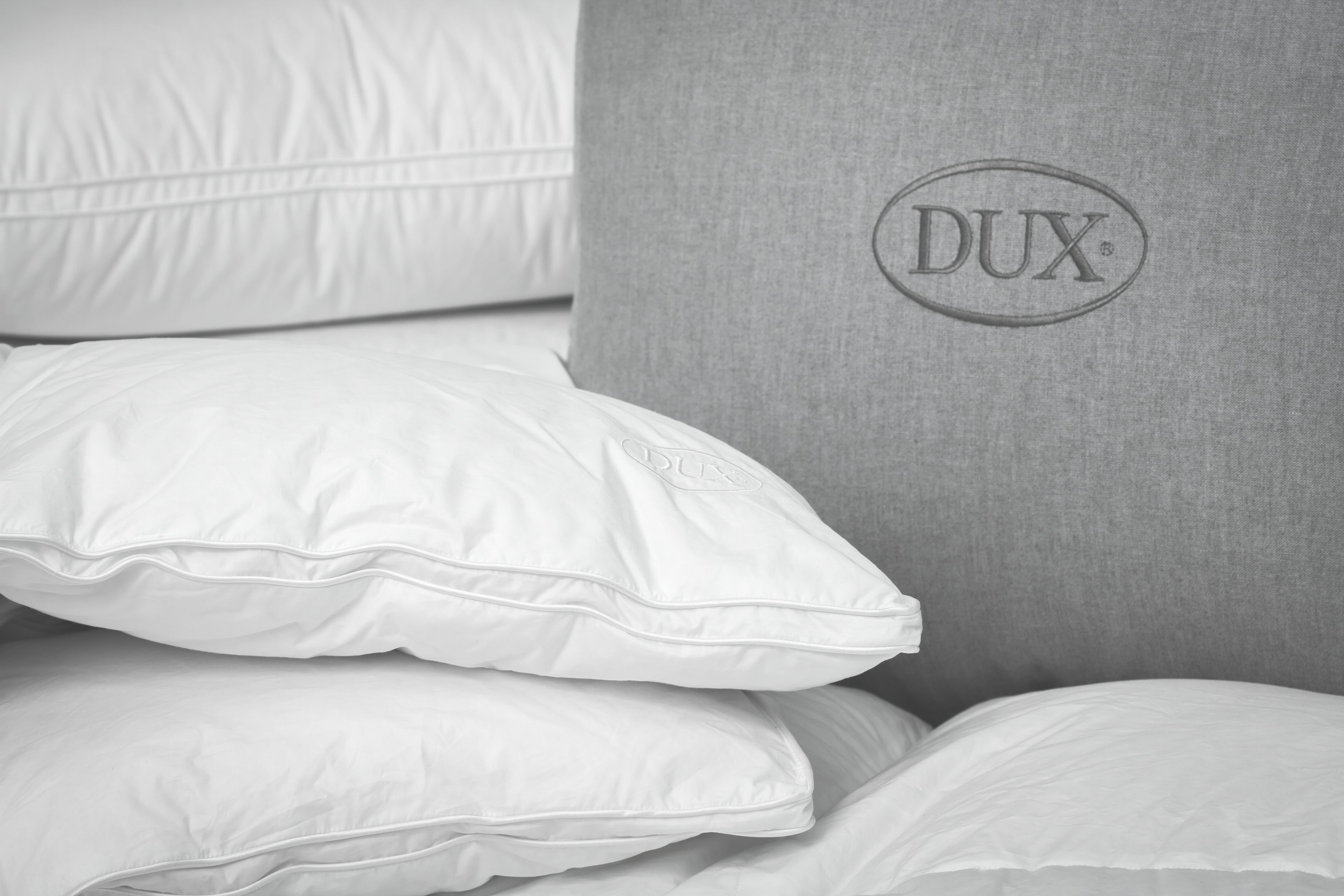 Daunenbettdecke Excellent warm – Luxus, der jede Nacht verwandelt.